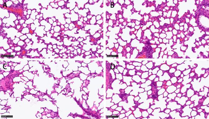 https://cdn.ncbi.nlm.nih.gov/pmc/blobs/9a59/11577718/5310c1d8d655/12931_2024_3042_Fig2_HTML.jpg