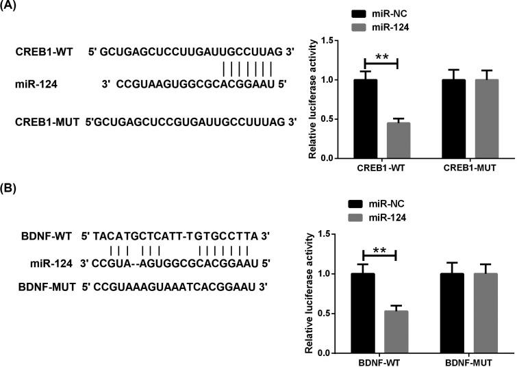 https://cdn.ncbi.nlm.nih.gov/pmc/blobs/9a59/7536798/86bd5293d698/CNR-17-196_F6.jpg