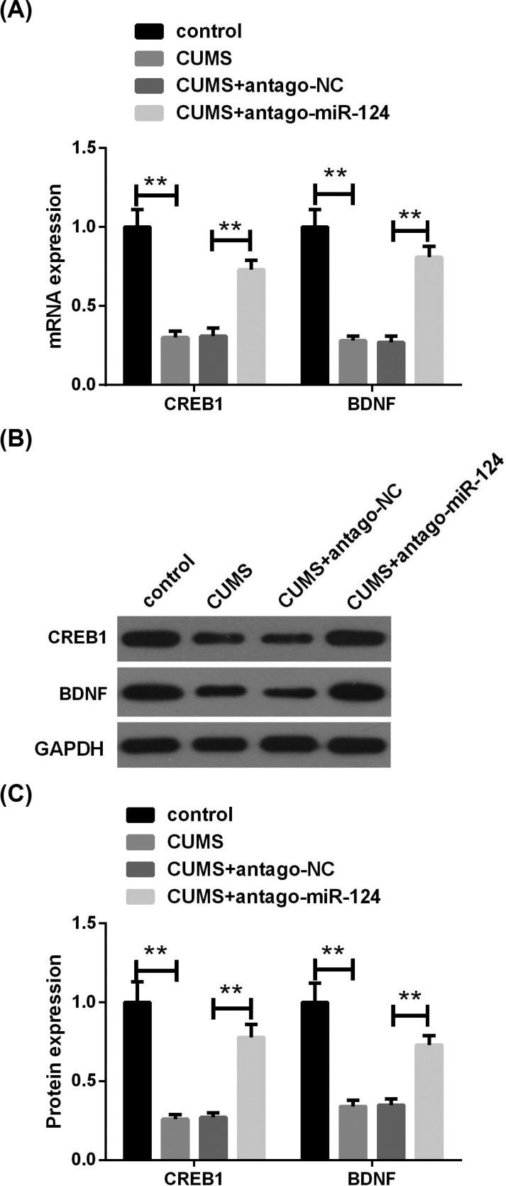 https://cdn.ncbi.nlm.nih.gov/pmc/blobs/9a59/7536798/8a8e8d28a05f/CNR-17-196_F5.jpg