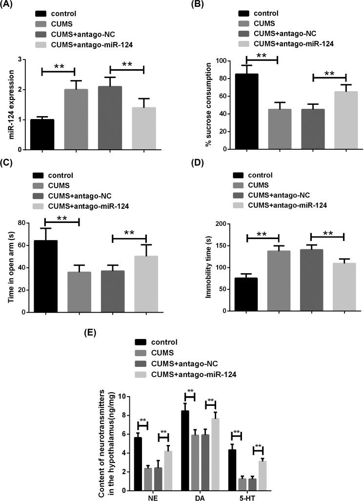 https://cdn.ncbi.nlm.nih.gov/pmc/blobs/9a59/7536798/941ac0f28fd4/CNR-17-196_F4.jpg