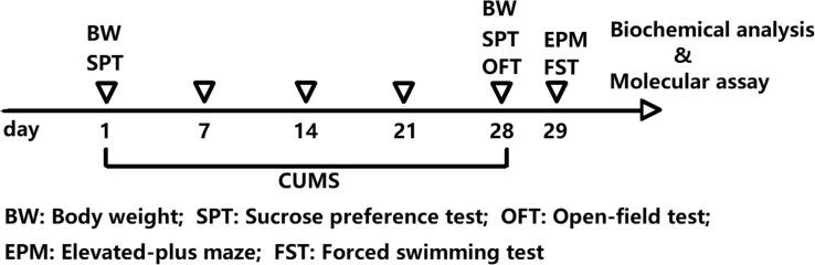 https://cdn.ncbi.nlm.nih.gov/pmc/blobs/9a59/7536798/f8c5486959d8/CNR-17-196_F1.jpg