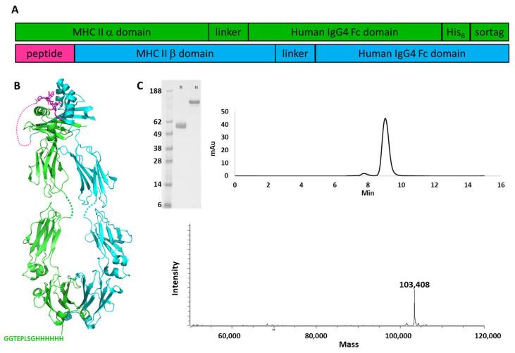 https://cdn.ncbi.nlm.nih.gov/pmc/blobs/9a59/8540115/ea8b7937159f/pharmaceutics-13-01669-g001.jpg