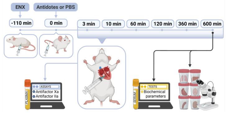 https://cdn.ncbi.nlm.nih.gov/pmc/blobs/9a59/8541278/362b08f748dc/ijms-22-11149-g005.jpg
