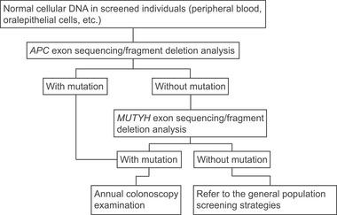 https://cdn.ncbi.nlm.nih.gov/pmc/blobs/9a5a/11947620/116eedf0946f/CAC2-45-332-g001.jpg