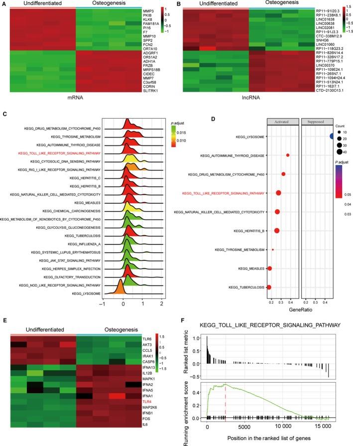 https://cdn.ncbi.nlm.nih.gov/pmc/blobs/9a5b/6237555/43078f18126e/JCMM-22-6134-g001.jpg