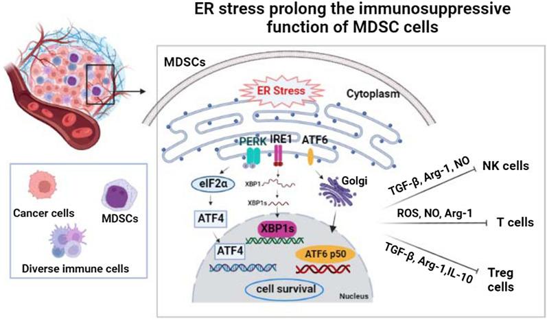 https://cdn.ncbi.nlm.nih.gov/pmc/blobs/9a5b/9809056/07ca5d54753c/12967_2022_3835_Fig1_HTML.jpg