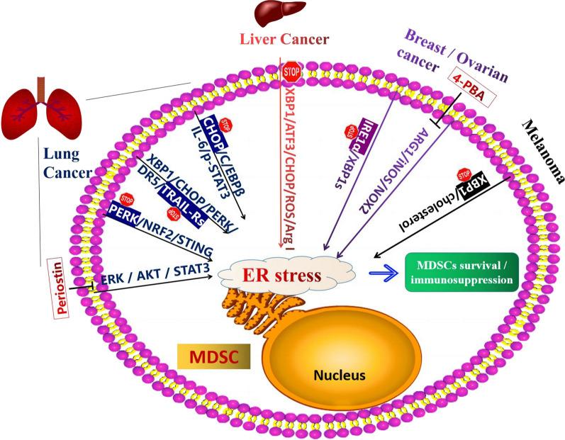 https://cdn.ncbi.nlm.nih.gov/pmc/blobs/9a5b/9809056/b0f93edbdfbc/12967_2022_3835_Fig2_HTML.jpg