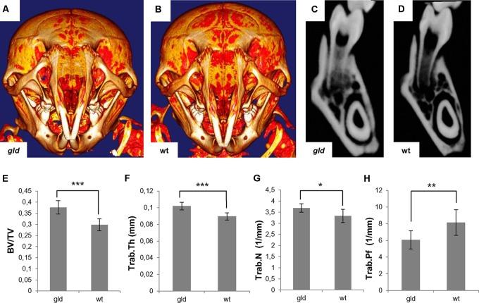 https://cdn.ncbi.nlm.nih.gov/pmc/blobs/9a5e/6157335/8be7cab35338/fphys-09-01314-g006.jpg
