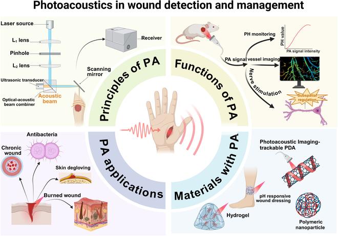 https://cdn.ncbi.nlm.nih.gov/pmc/blobs/9a5f/12092969/0f906a6c87e0/bmr.0206.fig.001.jpg