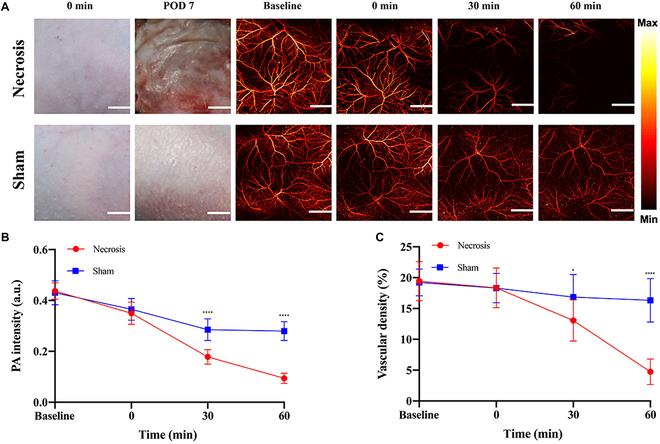 https://cdn.ncbi.nlm.nih.gov/pmc/blobs/9a5f/12092969/533af06b755c/bmr.0206.fig.006.jpg