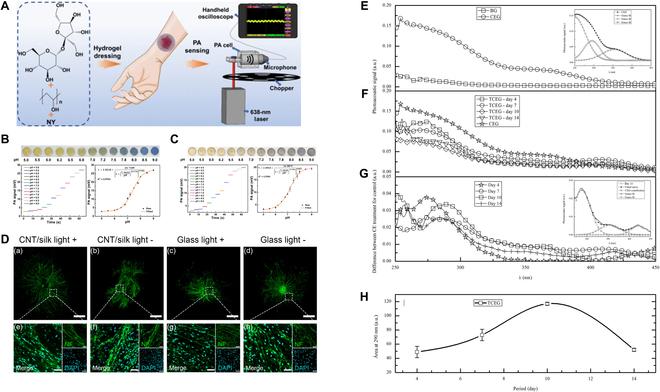 https://cdn.ncbi.nlm.nih.gov/pmc/blobs/9a5f/12092969/f84e3290af5b/bmr.0206.fig.003.jpg
