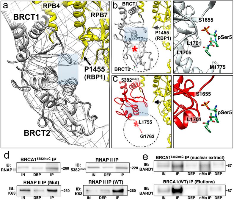 https://cdn.ncbi.nlm.nih.gov/pmc/blobs/9a62/4585766/5a6eba14b034/srep14440-f4.jpg