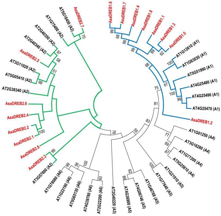 https://cdn.ncbi.nlm.nih.gov/pmc/blobs/9a64/10347091/925b49662bff/plants-12-02538-g002.jpg