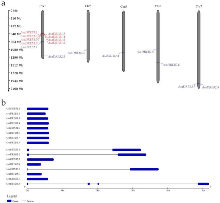 https://cdn.ncbi.nlm.nih.gov/pmc/blobs/9a64/10347091/fd100534ba30/plants-12-02538-g001.jpg