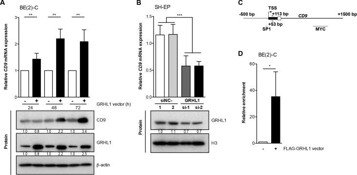 https://cdn.ncbi.nlm.nih.gov/pmc/blobs/9a65/5341807/04bf5181d396/oncotarget-07-66344-g001.jpg