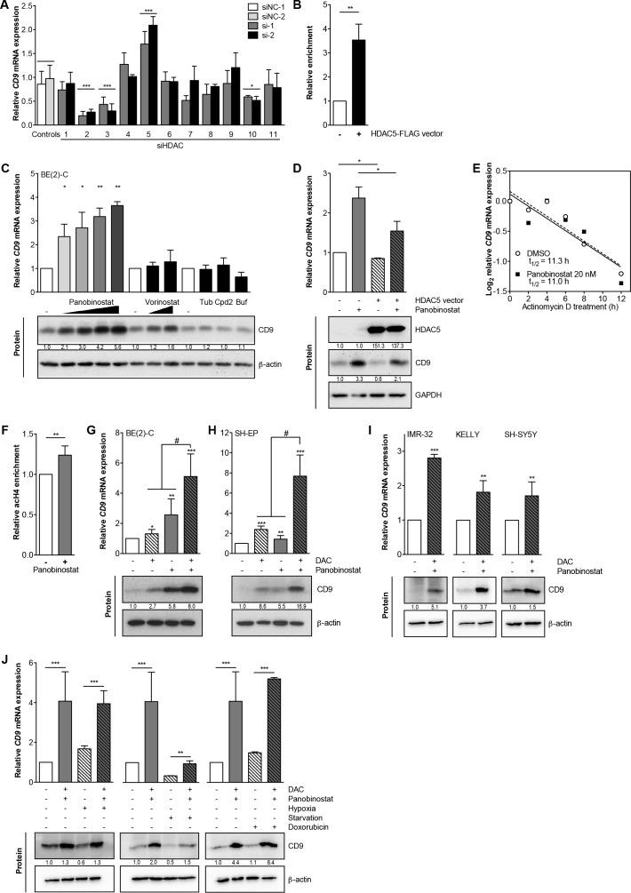https://cdn.ncbi.nlm.nih.gov/pmc/blobs/9a65/5341807/371450f185c5/oncotarget-07-66344-g005.jpg