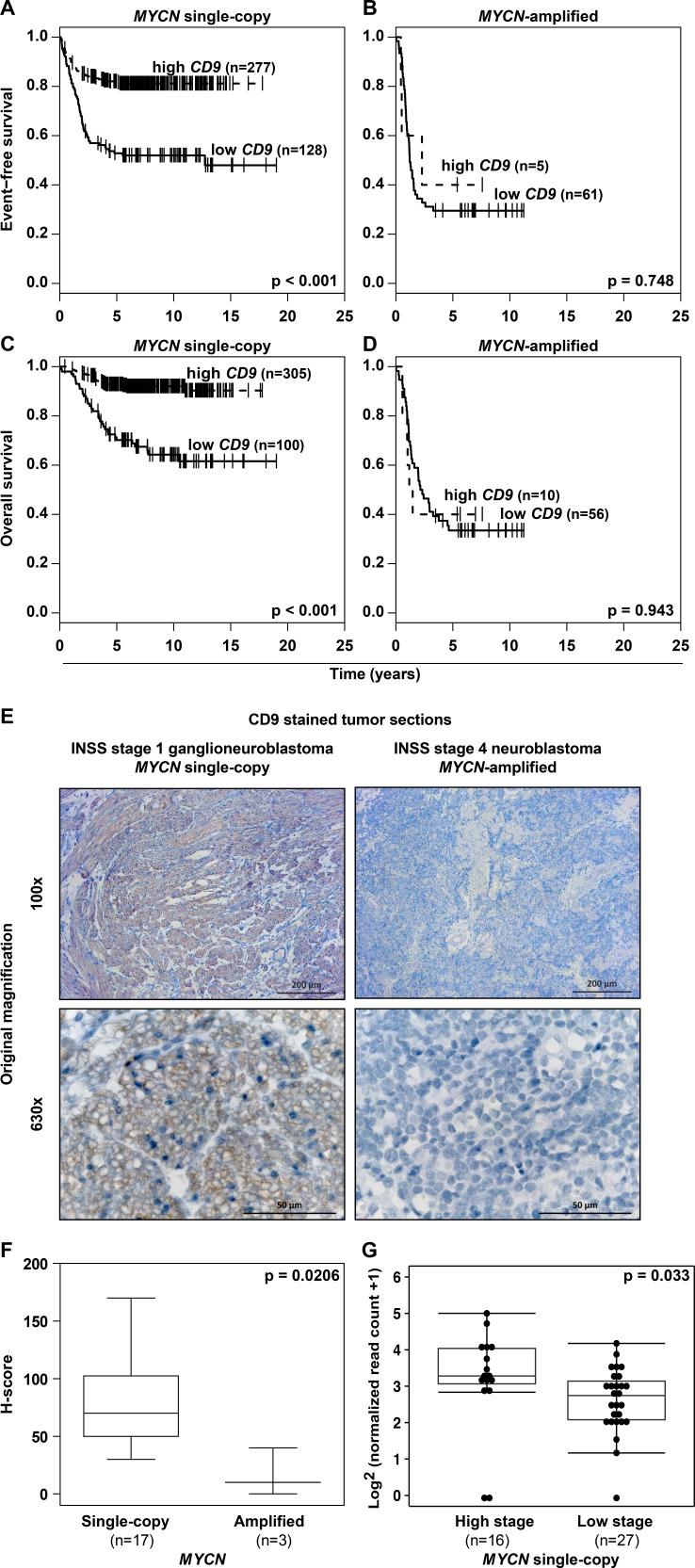 https://cdn.ncbi.nlm.nih.gov/pmc/blobs/9a65/5341807/7ce76f6e3cd1/oncotarget-07-66344-g003.jpg