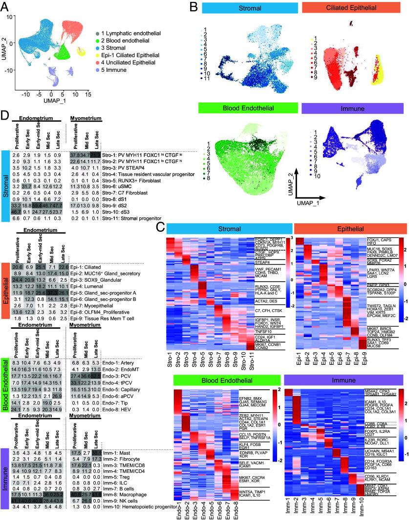 https://cdn.ncbi.nlm.nih.gov/pmc/blobs/9a6a/11551439/a40638f6c7e5/pnas.2404775121fig02.jpg