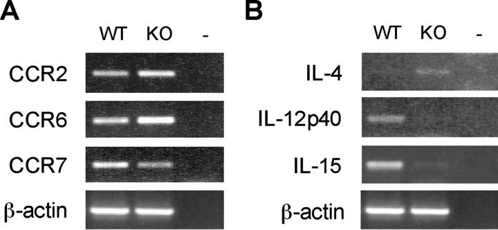 https://cdn.ncbi.nlm.nih.gov/pmc/blobs/9a6a/2194263/675e7c132ab3/20021263f6.jpg