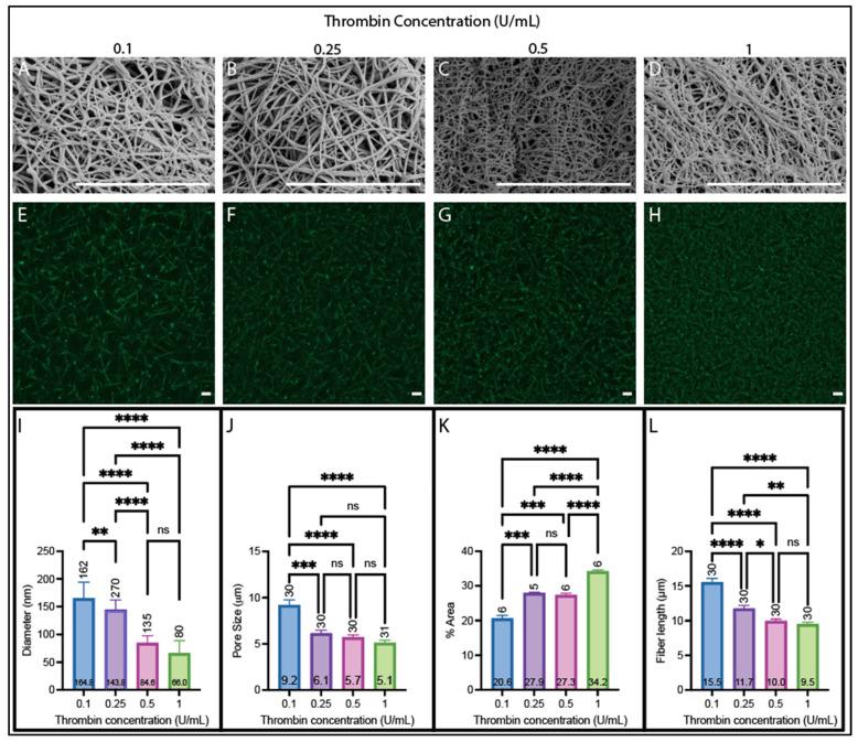 https://cdn.ncbi.nlm.nih.gov/pmc/blobs/9a6c/10886591/a90228c60c81/biomolecules-14-00230-g005.jpg