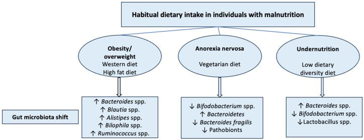https://cdn.ncbi.nlm.nih.gov/pmc/blobs/9a6c/12073618/7c90664c71ac/nutrients-17-01551-g002.jpg