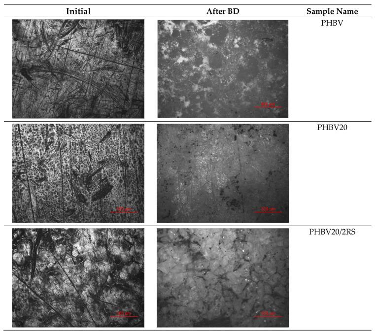 https://cdn.ncbi.nlm.nih.gov/pmc/blobs/9a6d/10934408/fe4f770368d2/polymers-16-00622-g004a.jpg