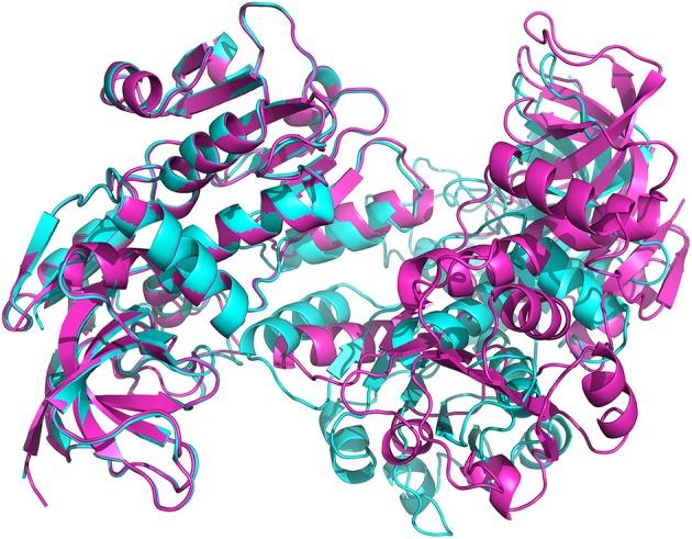 https://cdn.ncbi.nlm.nih.gov/pmc/blobs/9a6e/5343027/e7080ebeca23/fpls-08-00329-g0004.jpg