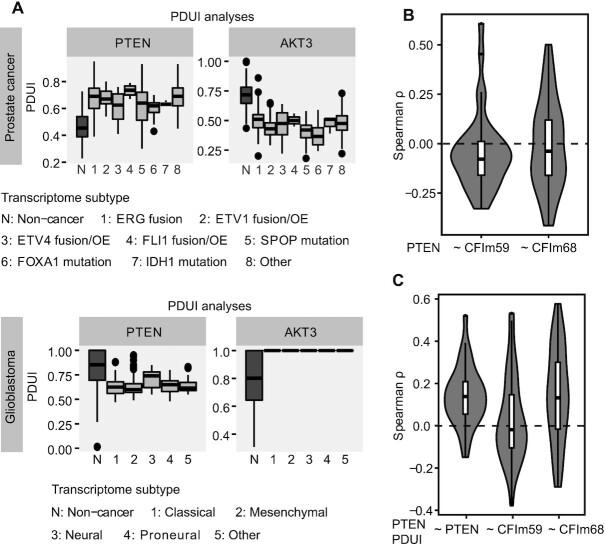 https://cdn.ncbi.nlm.nih.gov/pmc/blobs/9a71/9458458/4b49c3ff1843/gkac704fig6.jpg