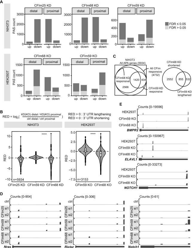 https://cdn.ncbi.nlm.nih.gov/pmc/blobs/9a71/9458458/bd0eeaf725c5/gkac704fig4.jpg