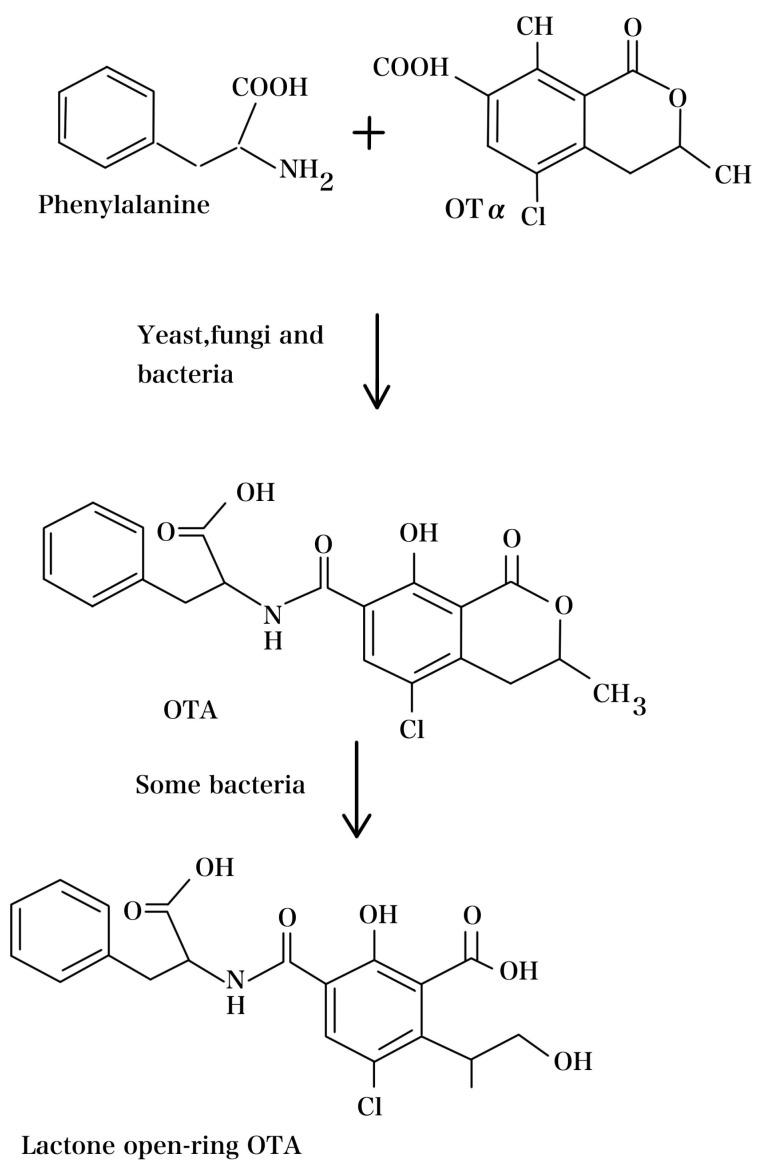 https://cdn.ncbi.nlm.nih.gov/pmc/blobs/9a72/11049263/93c8b016777a/foods-13-01184-g003.jpg