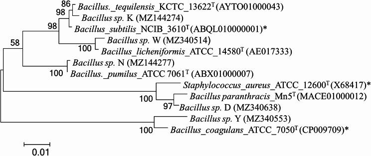 https://cdn.ncbi.nlm.nih.gov/pmc/blobs/9a74/12059200/19534b6db1ba/12284_2025_781_Fig1_HTML.jpg