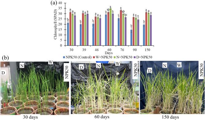 https://cdn.ncbi.nlm.nih.gov/pmc/blobs/9a74/12059200/9223bbd36ca6/12284_2025_781_Fig4_HTML.jpg