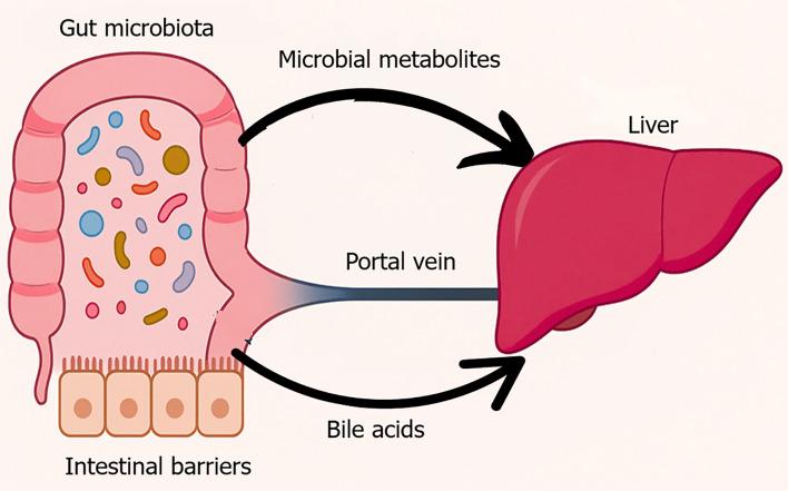 https://cdn.ncbi.nlm.nih.gov/pmc/blobs/9a75/12344363/4aa1487f1064/wjg-31-29-109090-g001.jpg