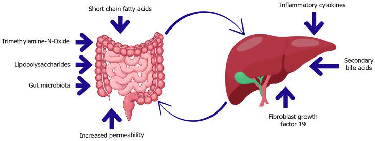 https://cdn.ncbi.nlm.nih.gov/pmc/blobs/9a75/12344363/89f84cab4fa2/wjg-31-29-109090-g003.jpg