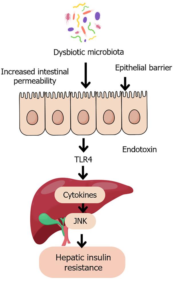 https://cdn.ncbi.nlm.nih.gov/pmc/blobs/9a75/12344363/b409b4cfeab6/wjg-31-29-109090-g002.jpg