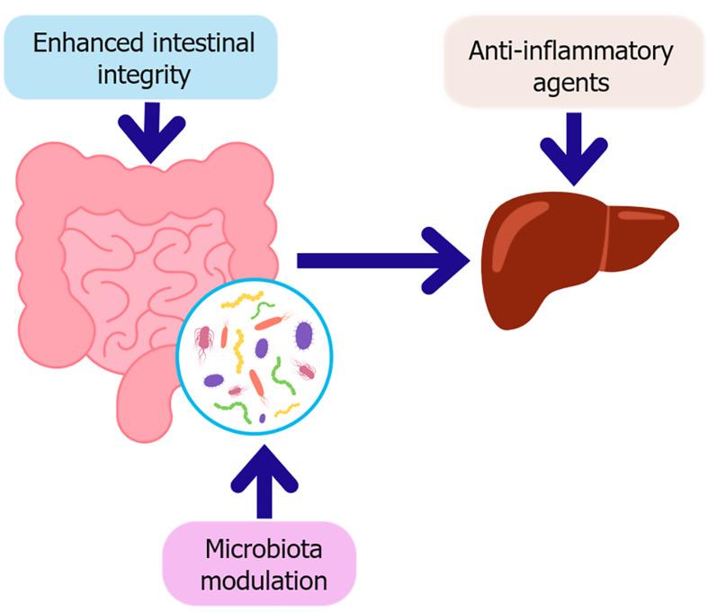 https://cdn.ncbi.nlm.nih.gov/pmc/blobs/9a75/12344363/c362b524a0f6/wjg-31-29-109090-g004.jpg
