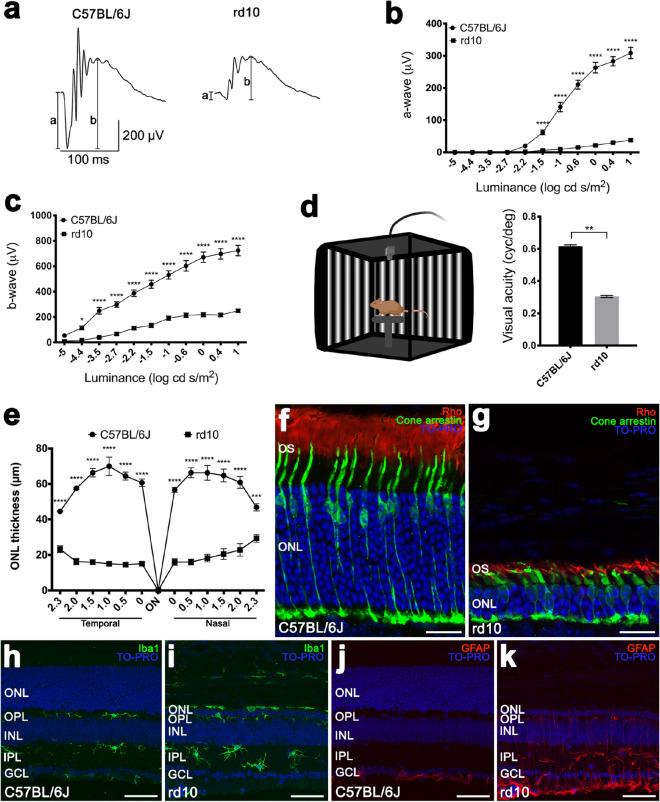 https://cdn.ncbi.nlm.nih.gov/pmc/blobs/9a76/7988170/caac57cdf4c6/41598_2021_86052_Fig1_HTML.jpg