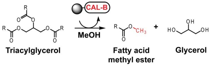 https://cdn.ncbi.nlm.nih.gov/pmc/blobs/9a77/6225267/637e0427e862/molecules-23-02230-sch001.jpg