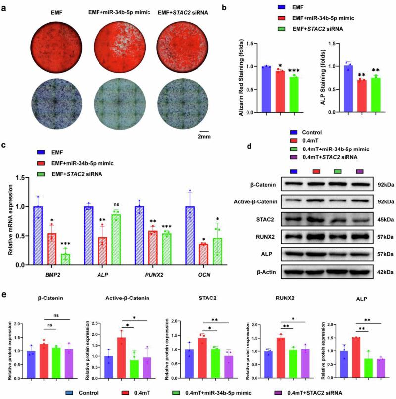 https://cdn.ncbi.nlm.nih.gov/pmc/blobs/9a79/11405519/0ee45d515e75/42003_2024_6866_Fig7_HTML.jpg