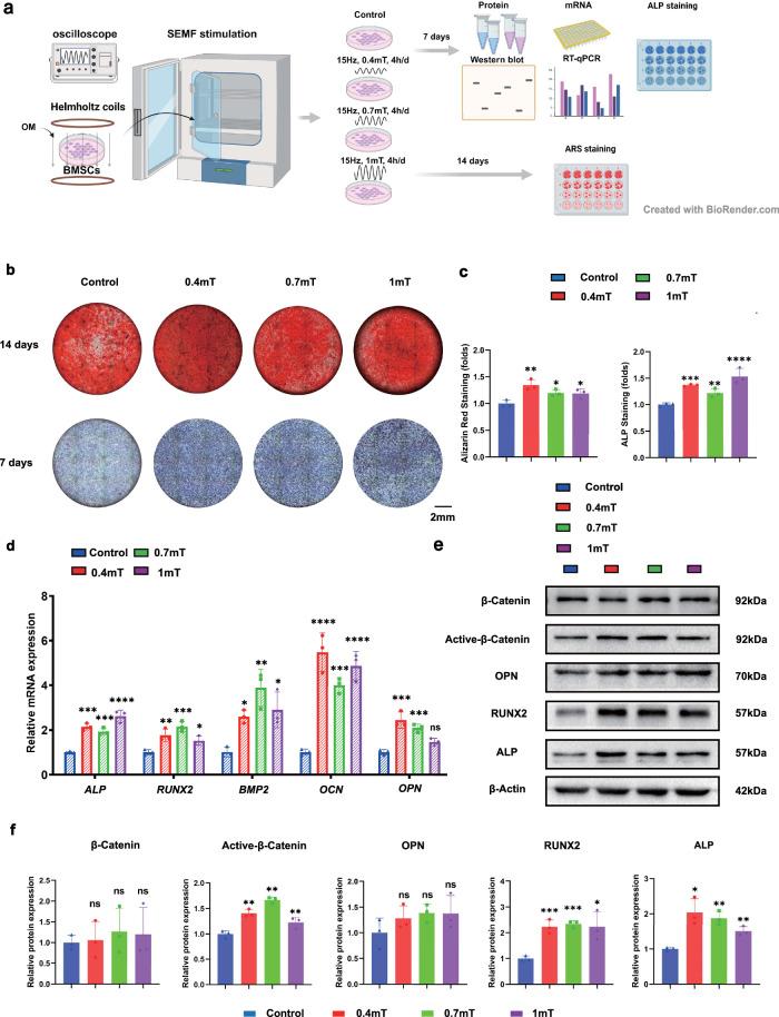 https://cdn.ncbi.nlm.nih.gov/pmc/blobs/9a79/11405519/7efdf674568e/42003_2024_6866_Fig1_HTML.jpg
