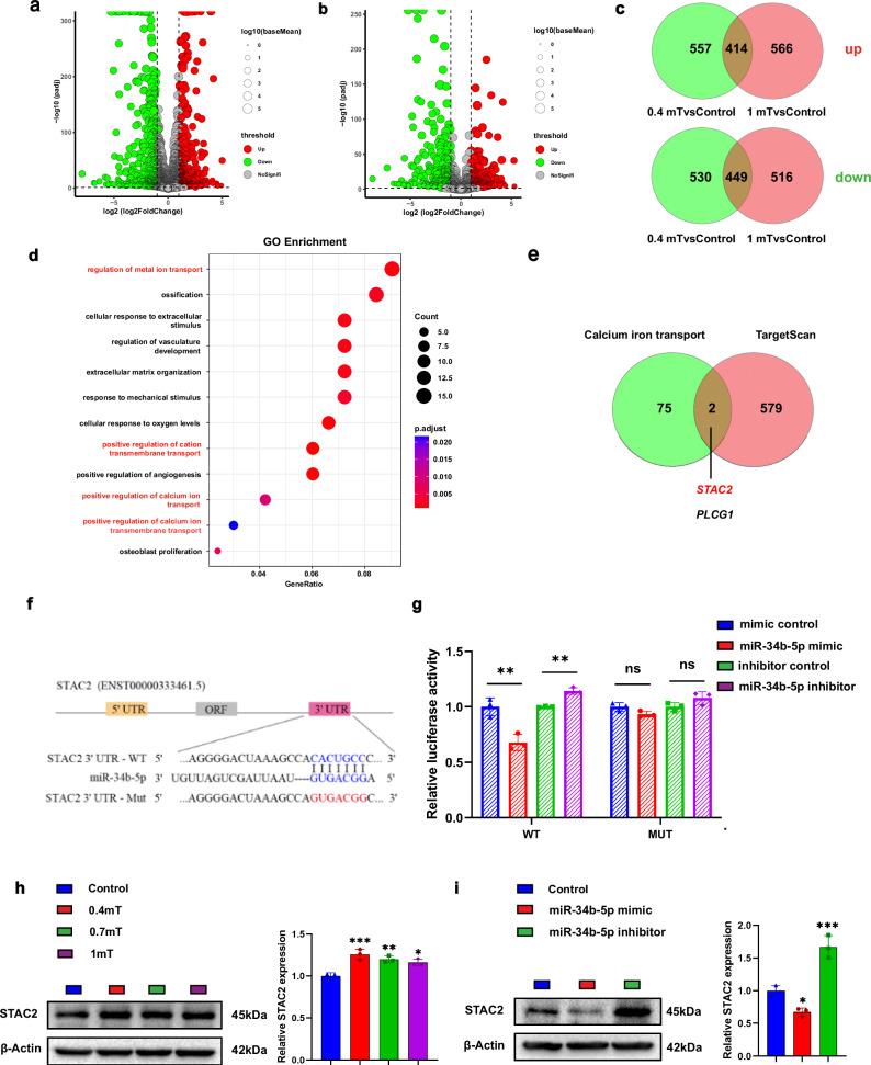 https://cdn.ncbi.nlm.nih.gov/pmc/blobs/9a79/11405519/a9f711ca5c78/42003_2024_6866_Fig6_HTML.jpg