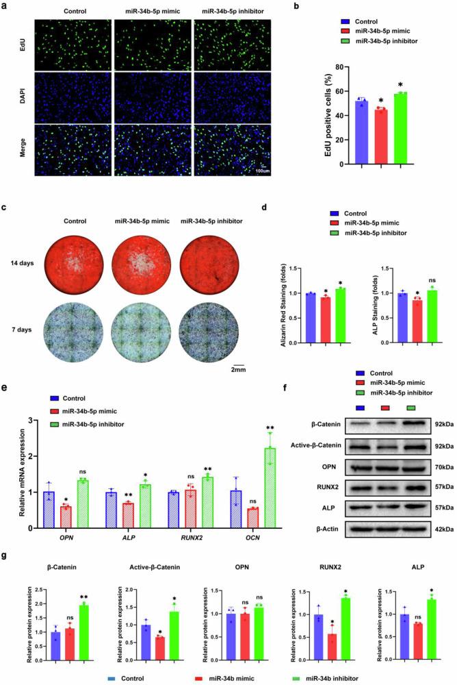https://cdn.ncbi.nlm.nih.gov/pmc/blobs/9a79/11405519/ce7d0446bd00/42003_2024_6866_Fig3_HTML.jpg