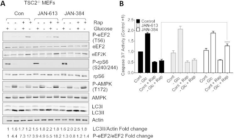 https://cdn.ncbi.nlm.nih.gov/pmc/blobs/9a7b/4760274/1ef88e97e98b/gr4.jpg
