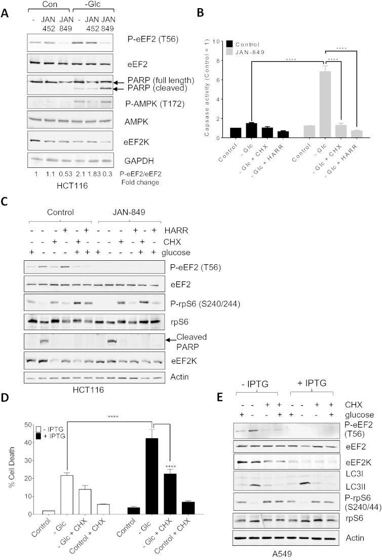 https://cdn.ncbi.nlm.nih.gov/pmc/blobs/9a7b/4760274/314bfffdc1b2/gr1.jpg