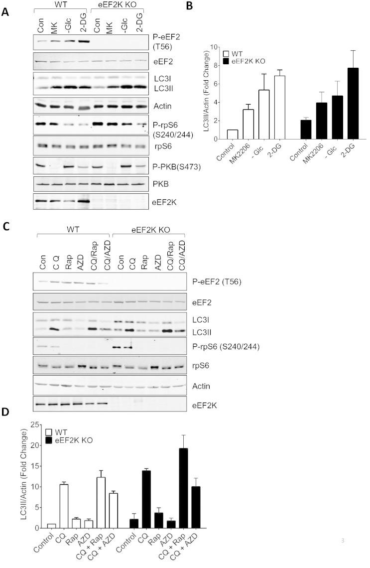 https://cdn.ncbi.nlm.nih.gov/pmc/blobs/9a7b/4760274/549bc44f6b80/gr3.jpg