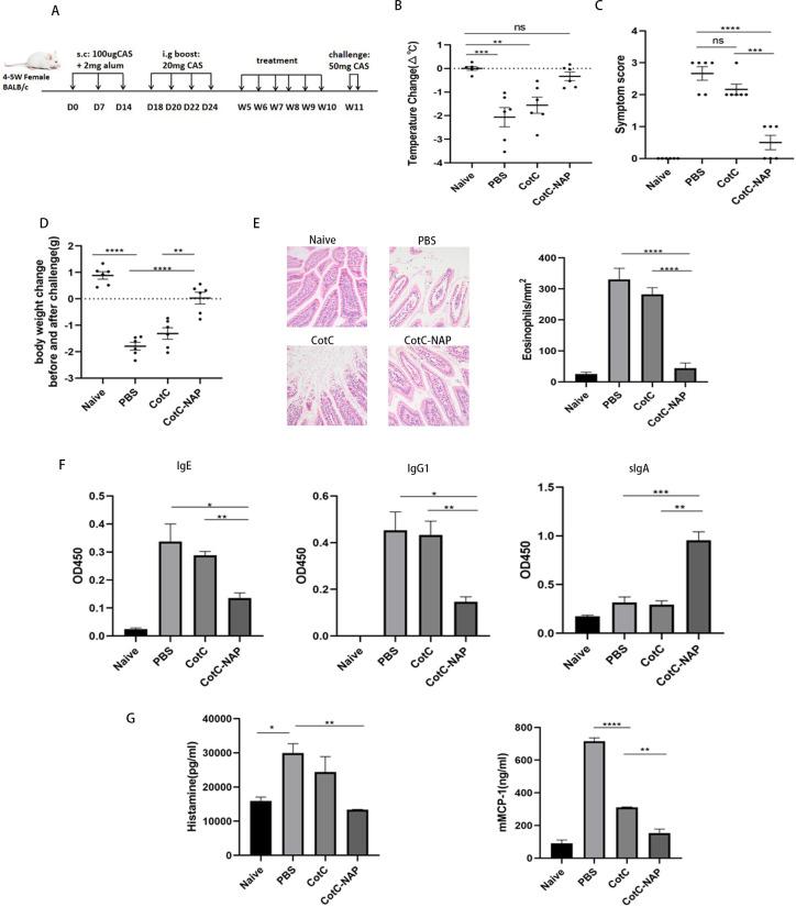 https://cdn.ncbi.nlm.nih.gov/pmc/blobs/9a7e/11574345/53f1cce5886c/fimmu-15-1428079-g001.jpg