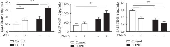 https://cdn.ncbi.nlm.nih.gov/pmc/blobs/9a7f/7231193/2d4b5bcfaa95/MI2020-4260204.008.jpg