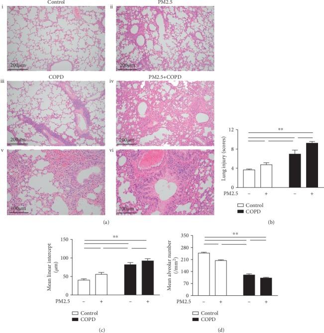 https://cdn.ncbi.nlm.nih.gov/pmc/blobs/9a7f/7231193/b29e21ac43b3/MI2020-4260204.002.jpg