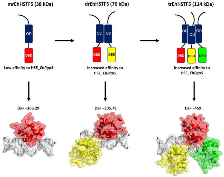 https://cdn.ncbi.nlm.nih.gov/pmc/blobs/9a80/11050682/895e5574ad9e/ijms-25-04218-g009.jpg