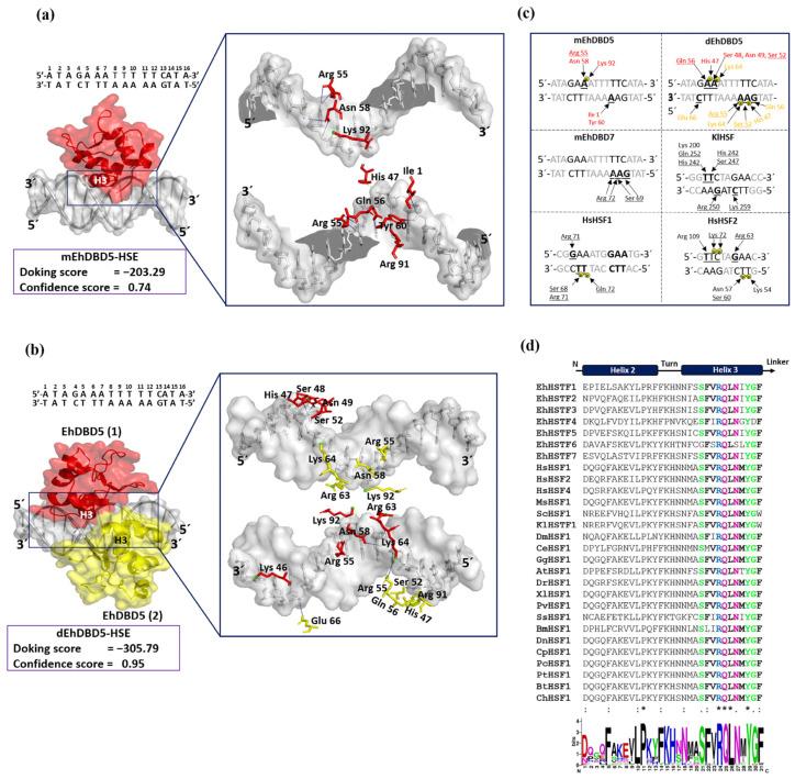 https://cdn.ncbi.nlm.nih.gov/pmc/blobs/9a80/11050682/89941673b5e6/ijms-25-04218-g007.jpg